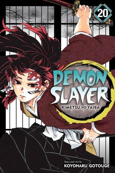 DEMON SLAYER, VOL. 20