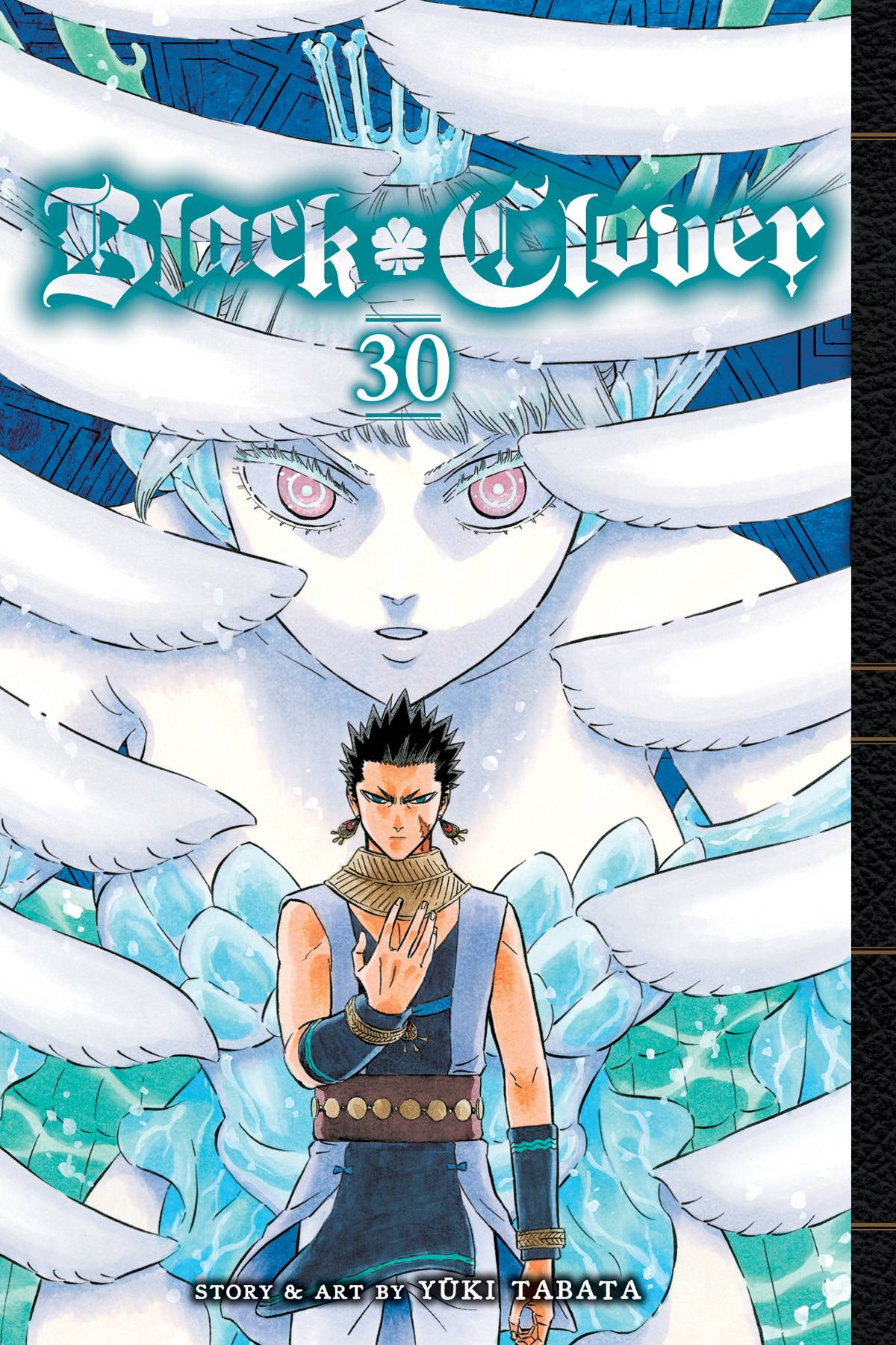 BLACK CLOVER, VOL. 30