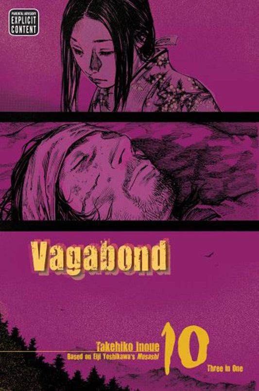 VAGABOND VIZBIG ED V10