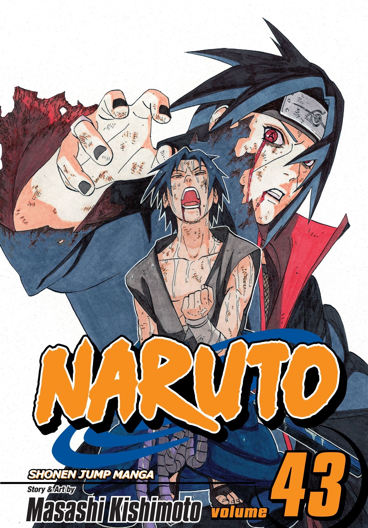 NARUTO 43