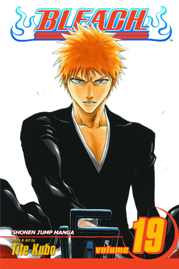 BLEACH 19