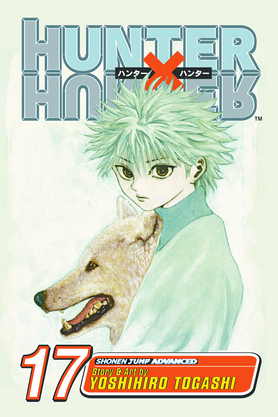 HUNTER X HUNTER, VOL. 17