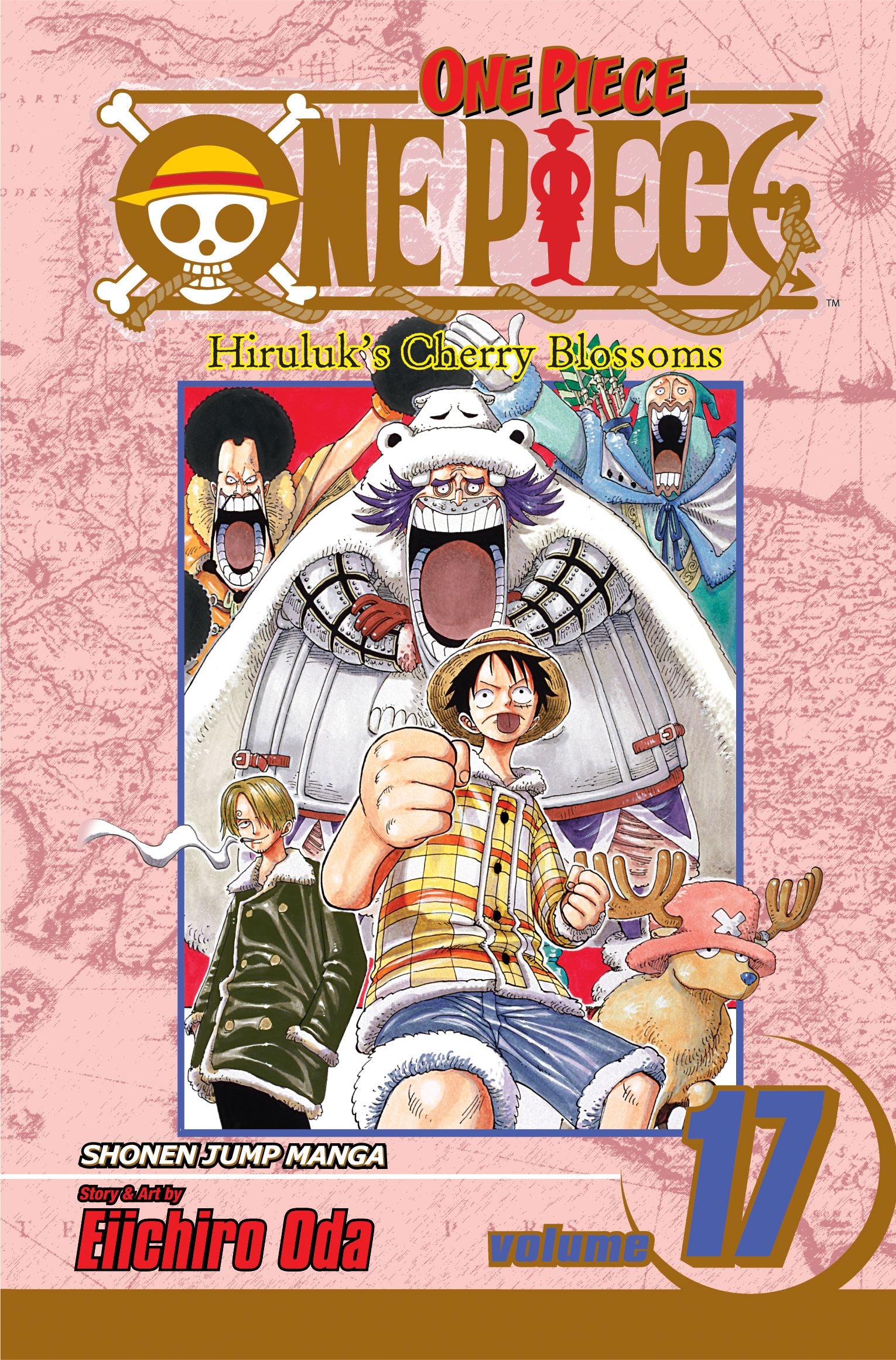 ONE PIECE, VOL. 17